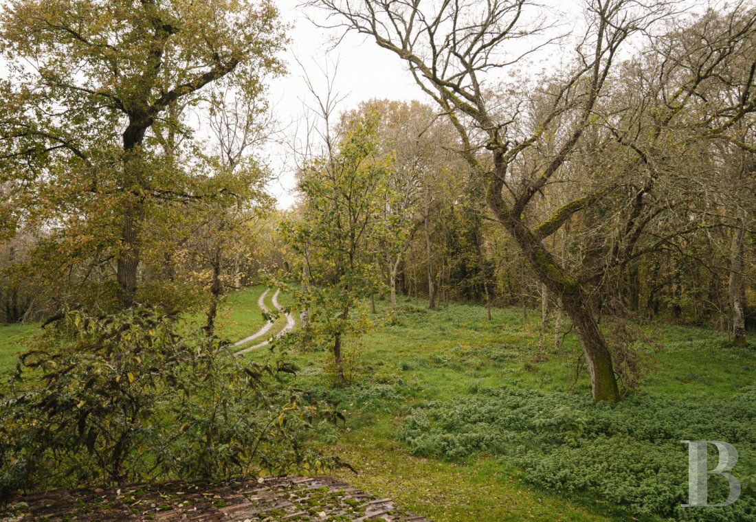 character properties France burgundy   - 19