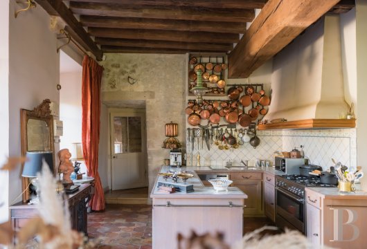 chateaux for sale France center val de loire   - 8