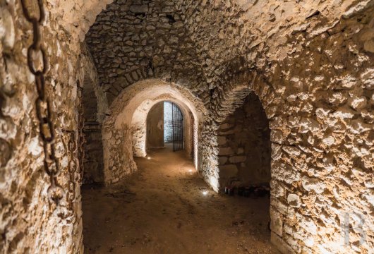 chateaux for sale France center val de loire   - 13
