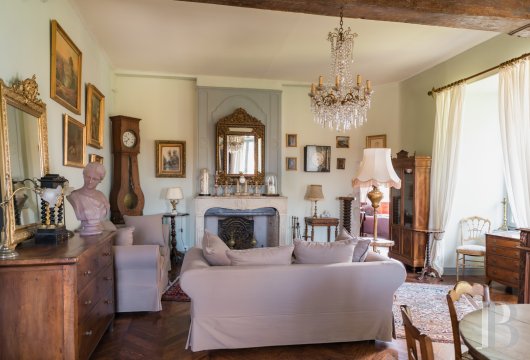 chateaux for sale France center val de loire   - 12