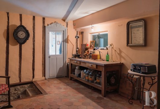 chateaux for sale France center val de loire   - 7