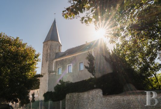 centre-val-de-loire - Dans la Beauce, à 1 h 30 de Paris,  un ancien château du 12e s. et son jardin