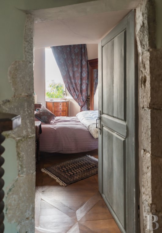 chateaux for sale France center val de loire   - 11