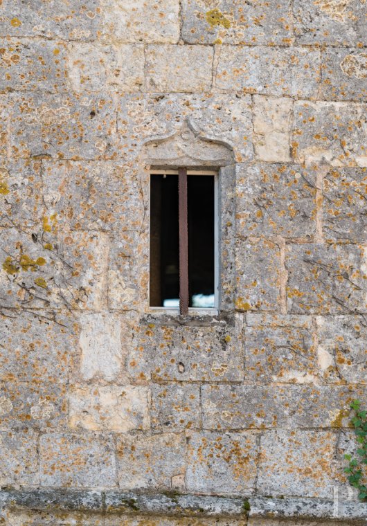 chateaux for sale France center val de loire   - 2