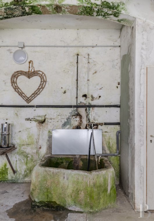 character properties France rhones alps   - 20