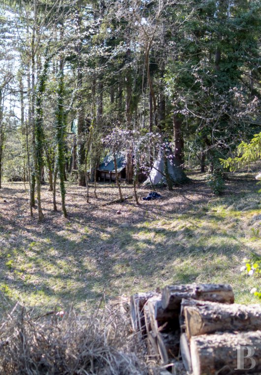 character properties France rhones alps   - 22