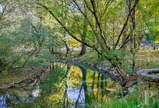 french farms for sale provence cote dazur   - 19