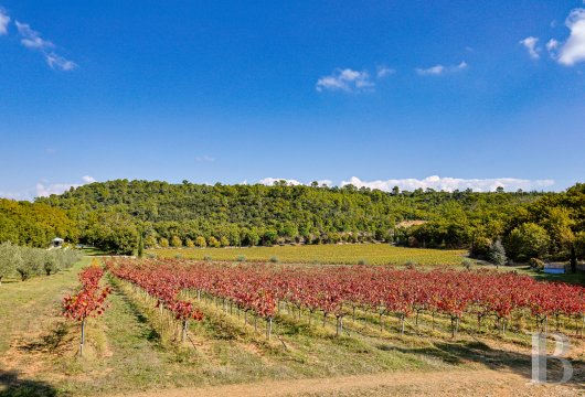 french farms for sale provence cote dazur   - 21