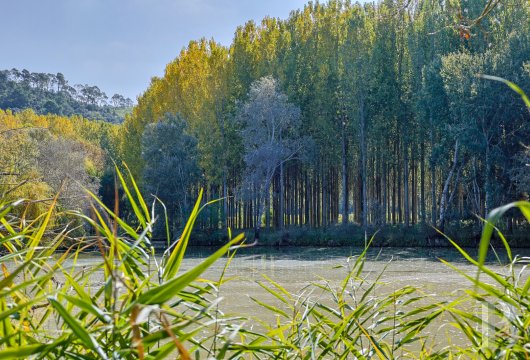 french farms for sale provence cote dazur   - 20