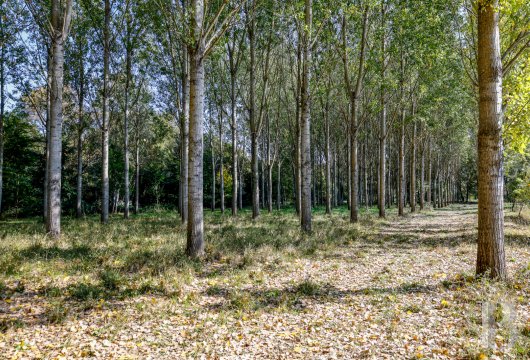 french farms for sale provence cote dazur   - 17