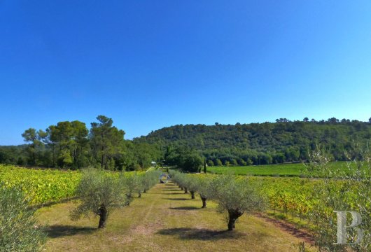 french farms for sale provence cote dazur   - 22
