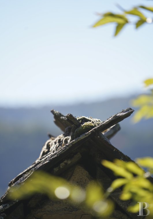 character properties France languedoc roussillon   - 4