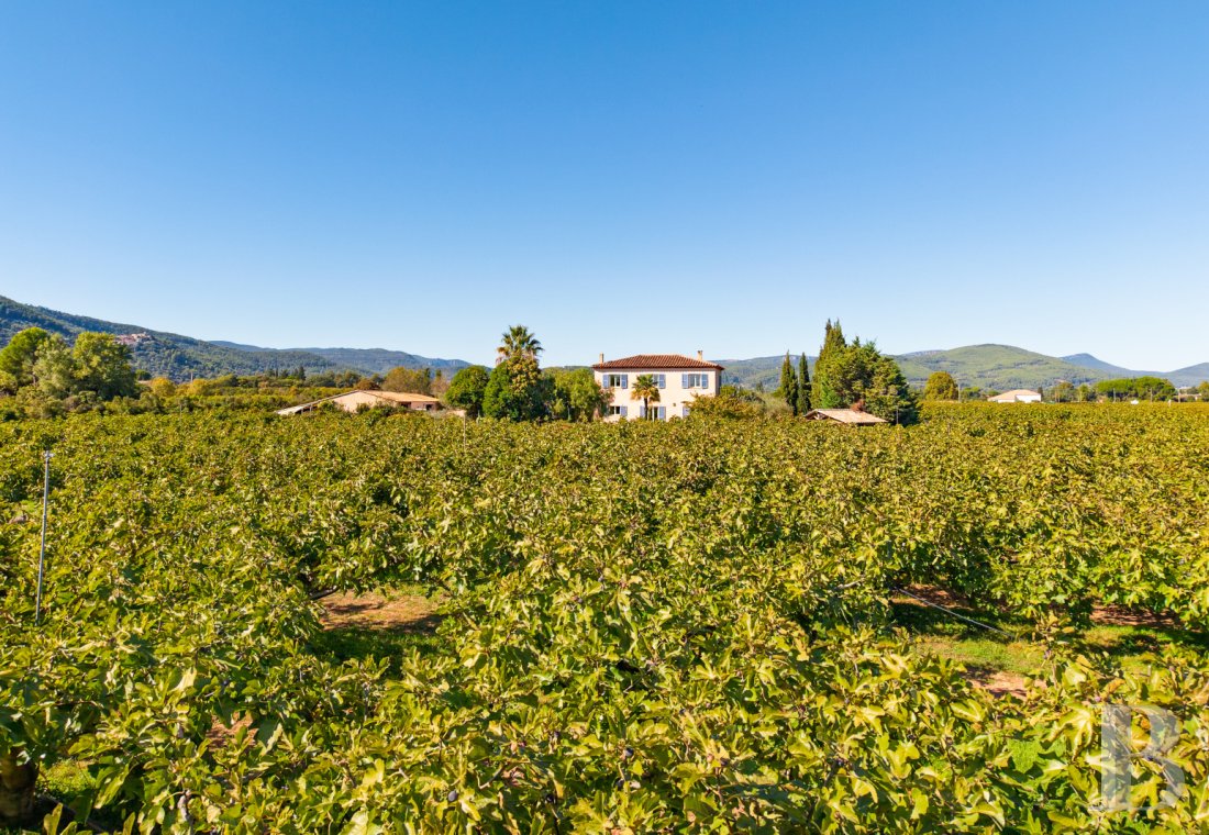 character properties France provence cote dazur   - 2
