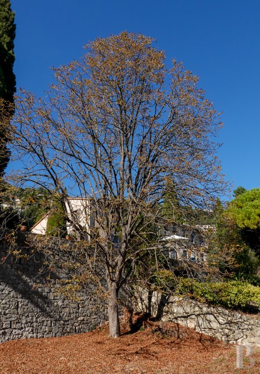 character properties France provence cote dazur   - 16
