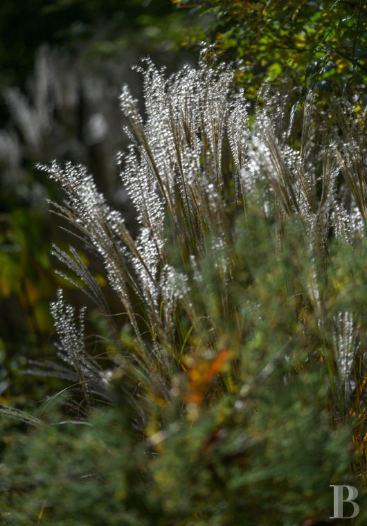 houses for sale paris   - 19