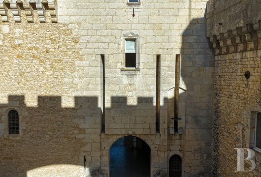 chateaux a vendre centre val de loire   - 5