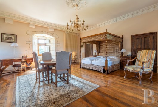 chateaux a vendre centre val de loire   - 19