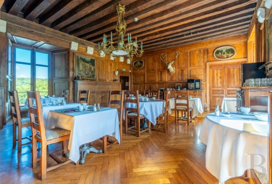 chateaux a vendre centre val de loire   - 9