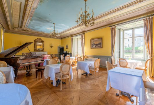 chateaux a vendre centre val de loire   - 7