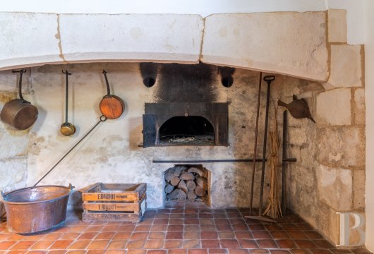 chateaux a vendre centre val de loire   - 13