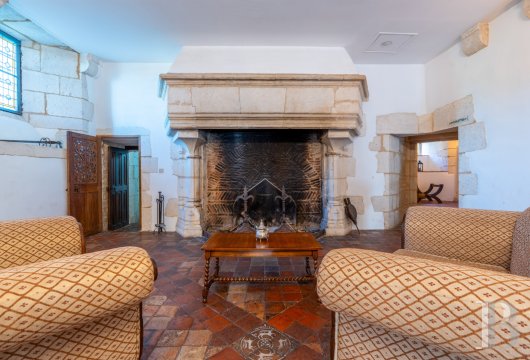 chateaux a vendre centre val de loire   - 12