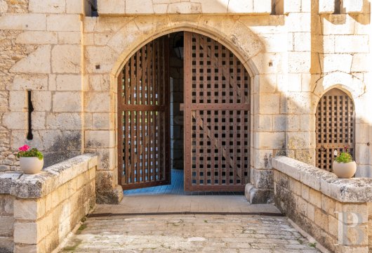 chateaux a vendre centre val de loire   - 6
