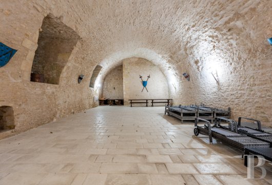 chateaux a vendre centre val de loire   - 15