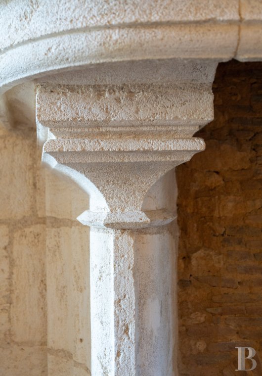 chateaux a vendre centre val de loire   - 14