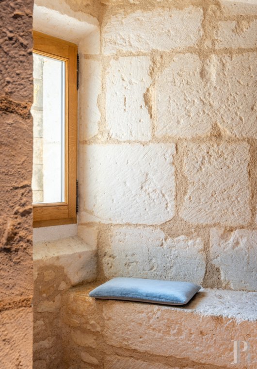 chateaux a vendre centre val de loire   - 10