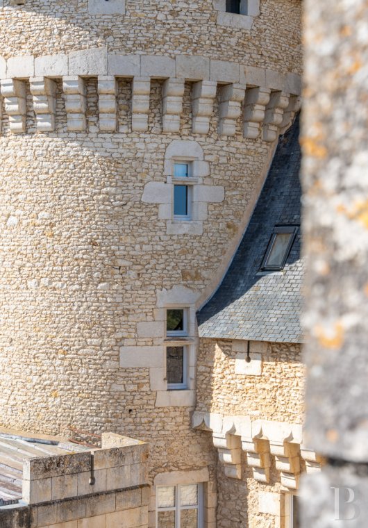 chateaux a vendre centre val de loire   - 8