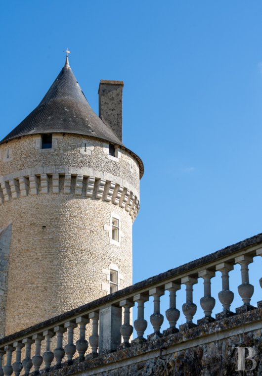 chateaux a vendre centre val de loire   - 4