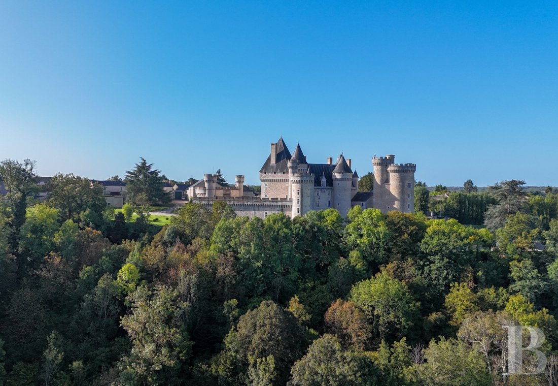chateaux a vendre centre val de loire   - 25