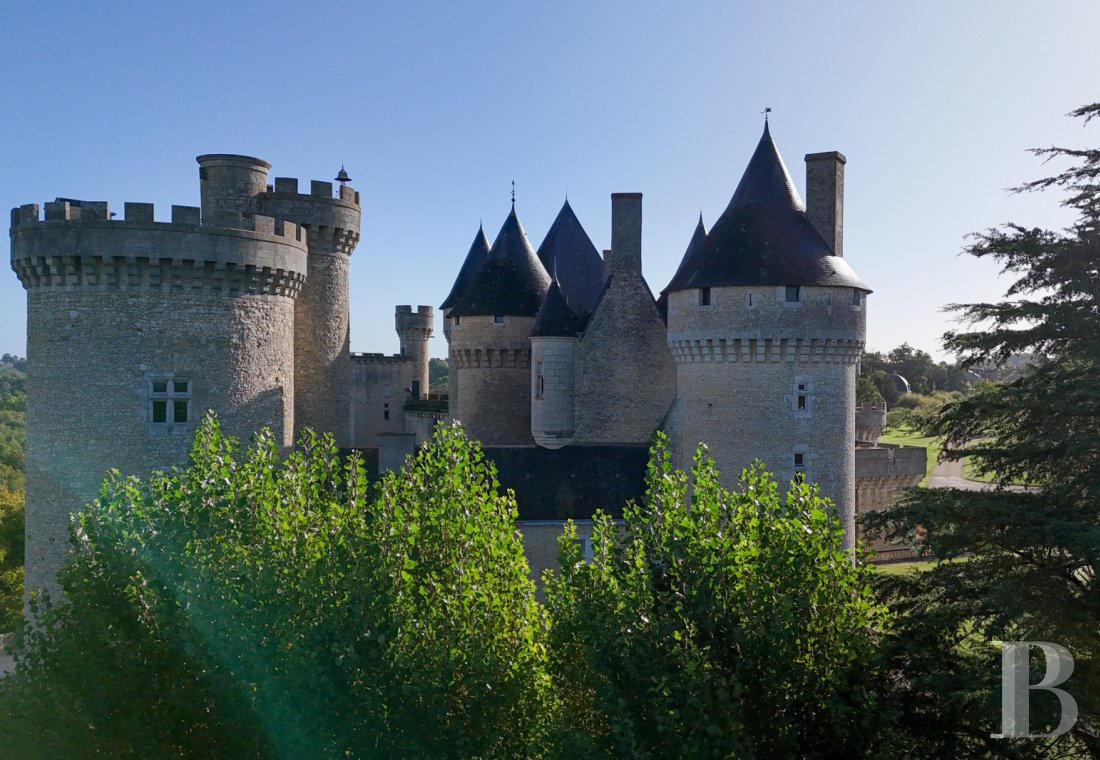 chateaux a vendre centre val de loire   - 3
