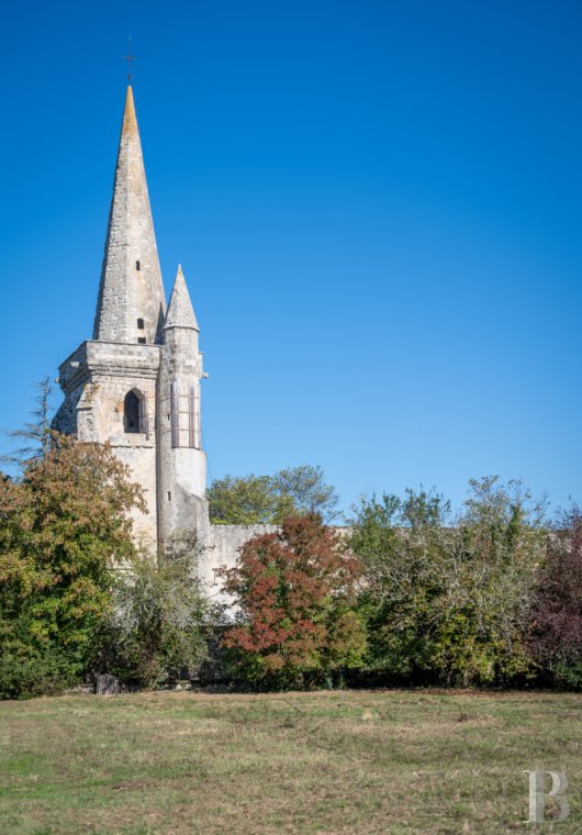 chateaux a vendre aquitaine   - 18