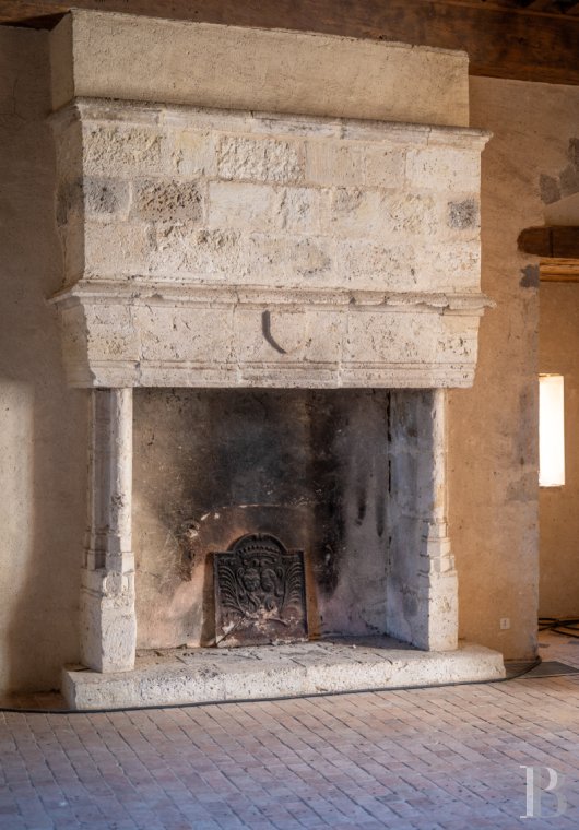 chateaux a vendre aquitaine   - 8