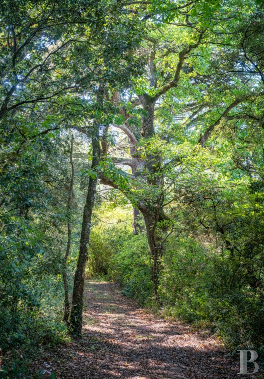 chateaux a vendre aquitaine   - 24