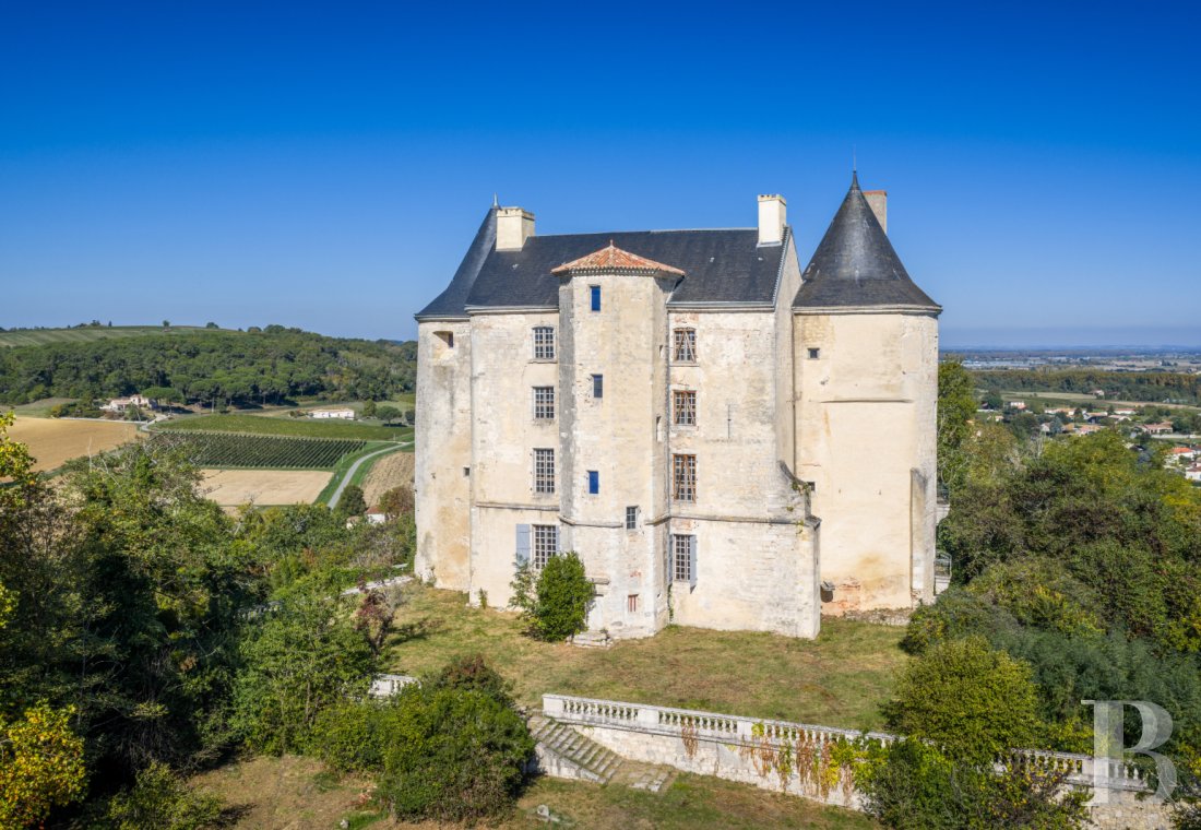 chateaux a vendre aquitaine   - 3