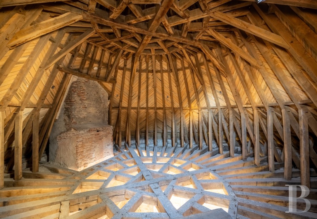 chateaux for sale France aquitaine   - 12