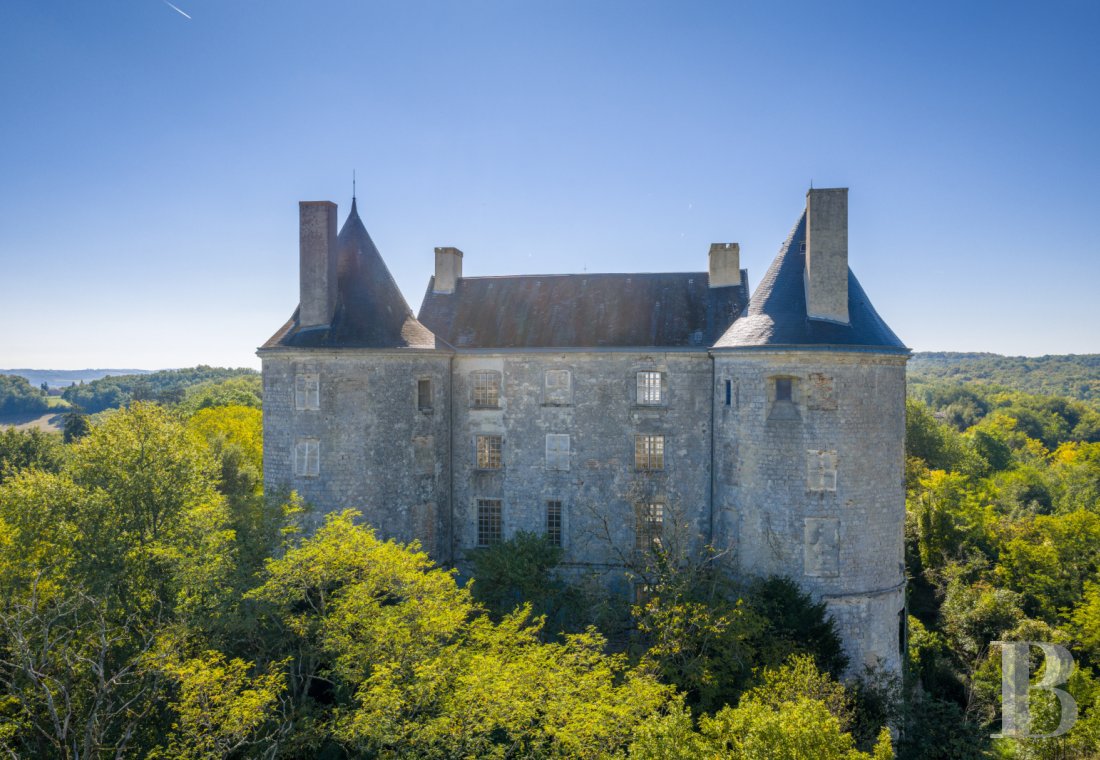 chateaux a vendre aquitaine   - 4
