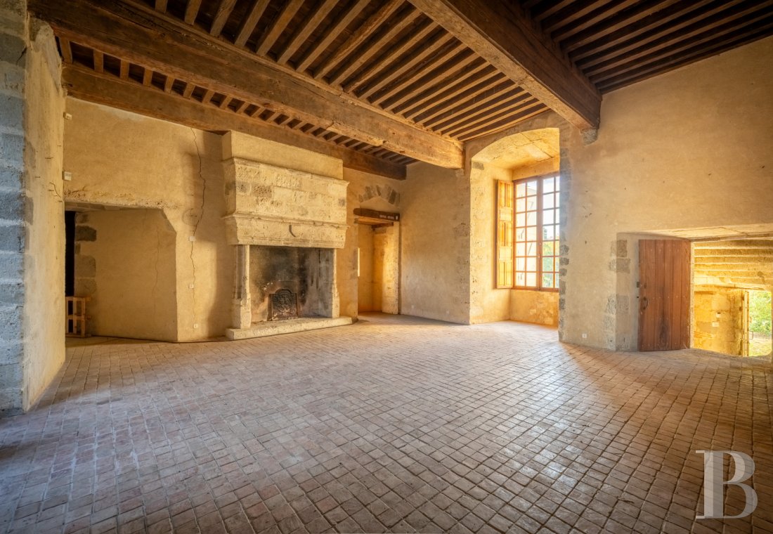 chateaux for sale France aquitaine   - 3