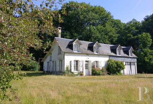 center-val-de-loire - A rural home and outbuildings to restore with a lake and 45 hectares of wooded grounds in France’s Indre-et-Loire department, near the city of Tours