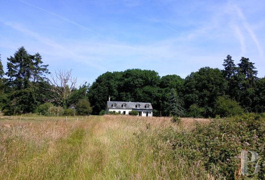 France estates center val de loire   - 7