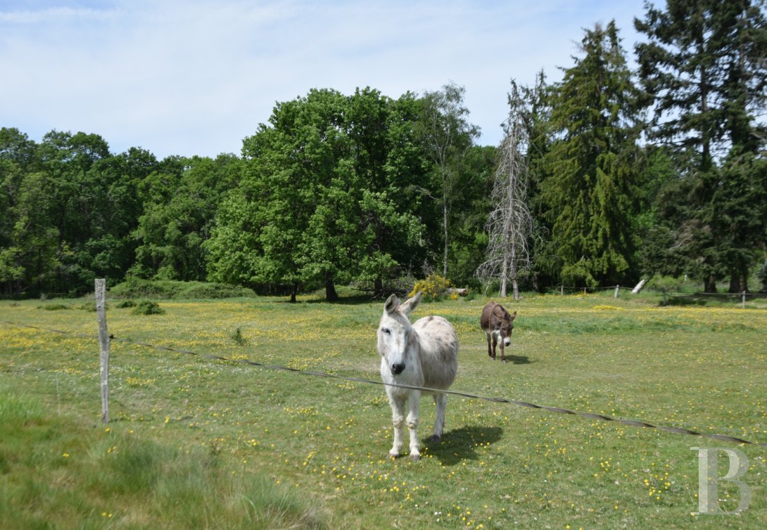 France estates center val de loire   - 11
