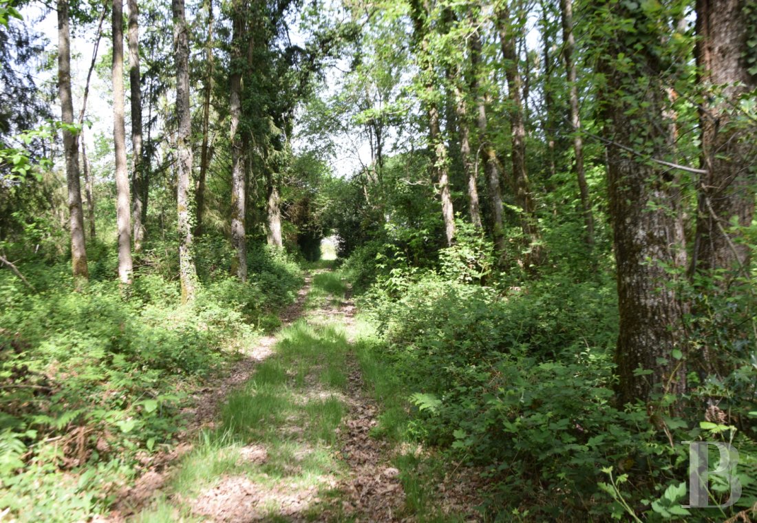 France estates center val de loire   - 12