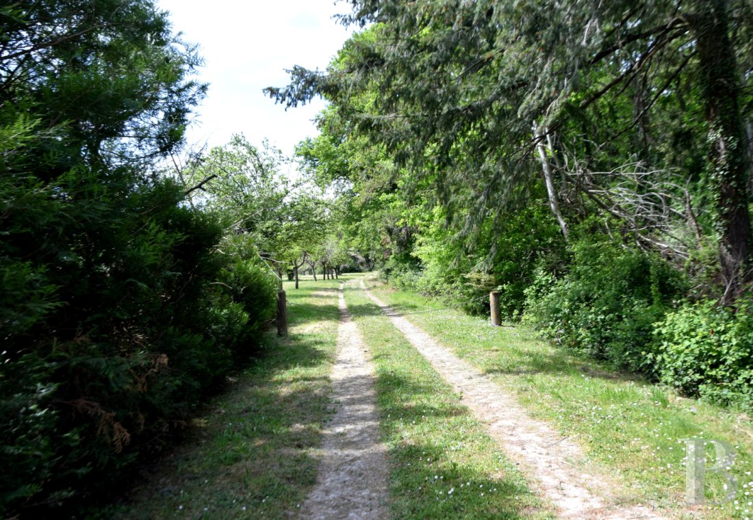 France estates center val de loire   - 2