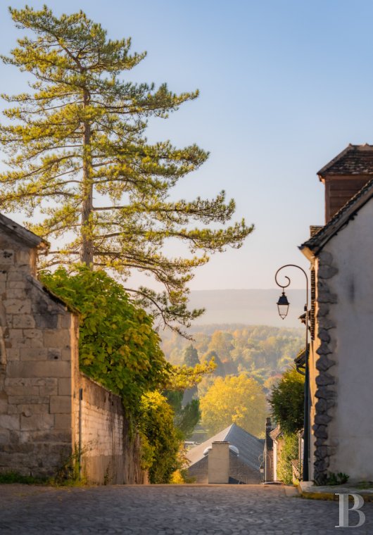 properties in town burgundy   - 12