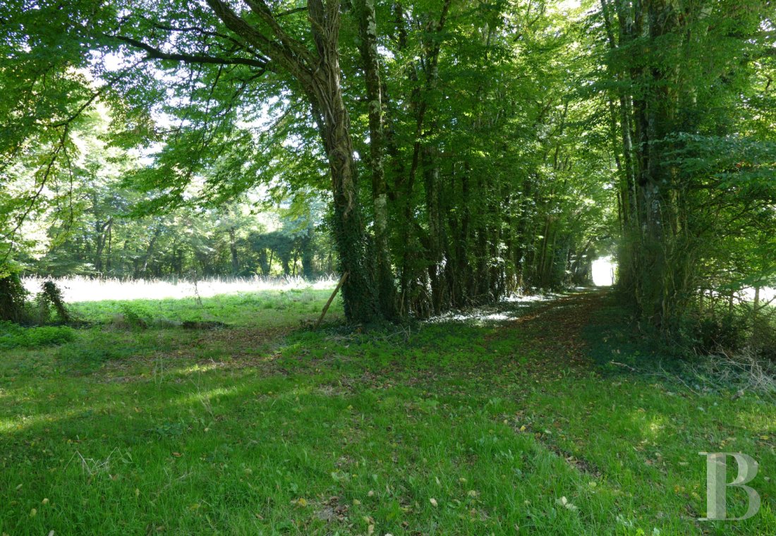 property for sale France poitou charentes   - 10