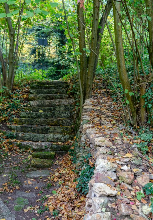 character properties France ile de france   - 11 character properties France ile de france   - 11