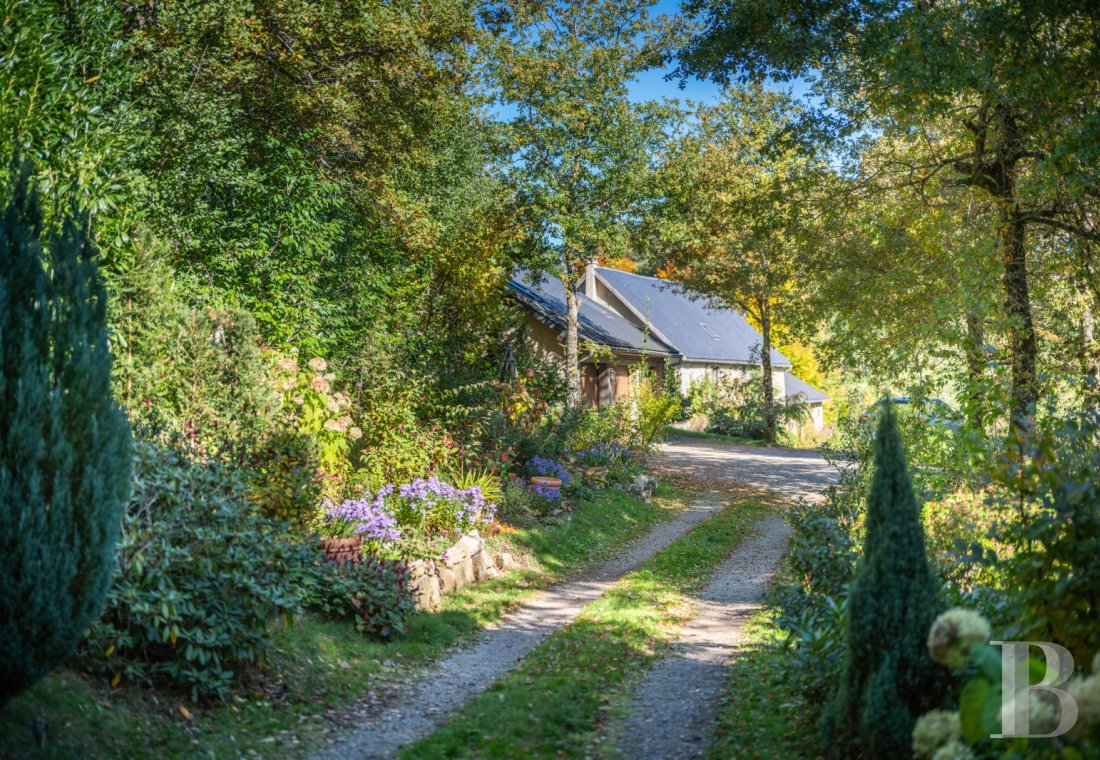 character properties France limousin   - 12