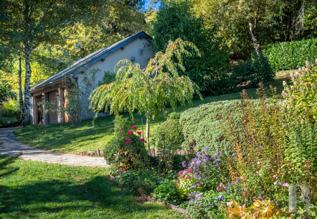 character properties France limousin   - 15